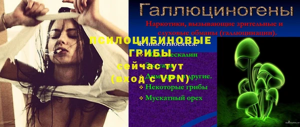 мдпв Приозерск