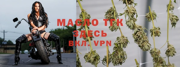 твердый Арсеньев